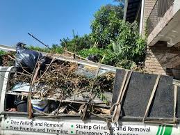 Best Moving and Downsizing Cleanouts  in Cameron, MO